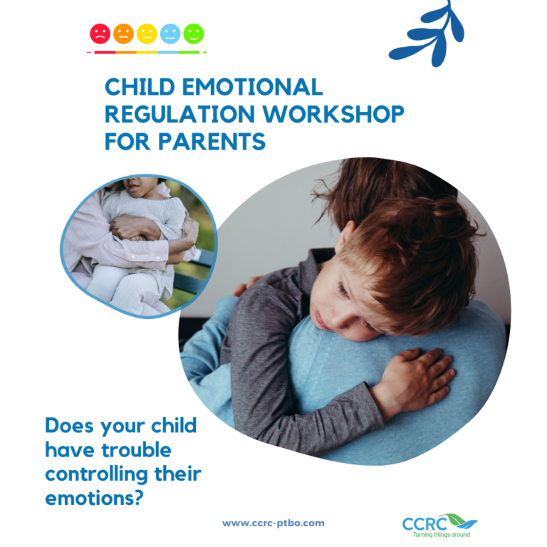 Child emotional regulation workshop