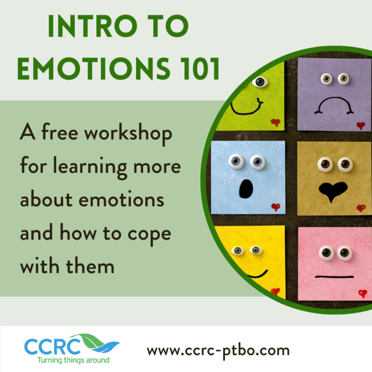 Intro to Emotions 101